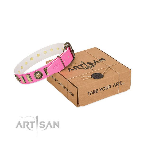 Strong full grain leather dog collar created for your canine