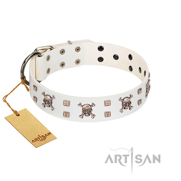 Full grain natural leather dog collar with fashionable adornments