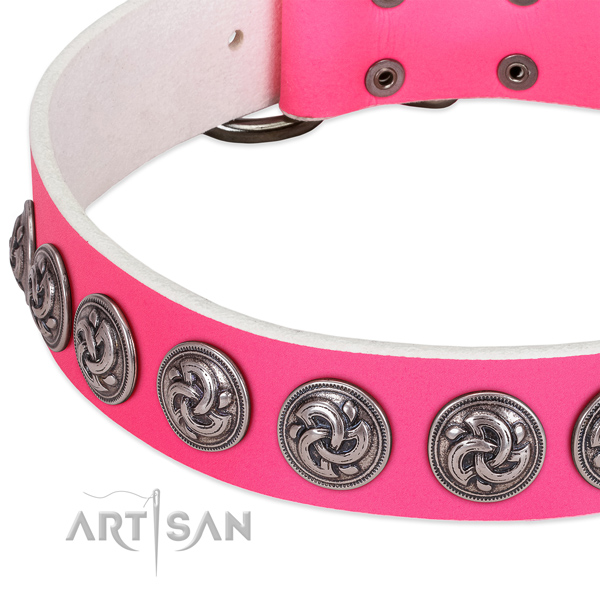 Exceptional full grain natural leather collar for your pet everyday walking