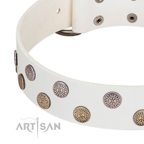 Remarkable leather collar for daily use your doggie