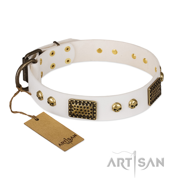 Rust resistant embellishments on everyday use dog collar