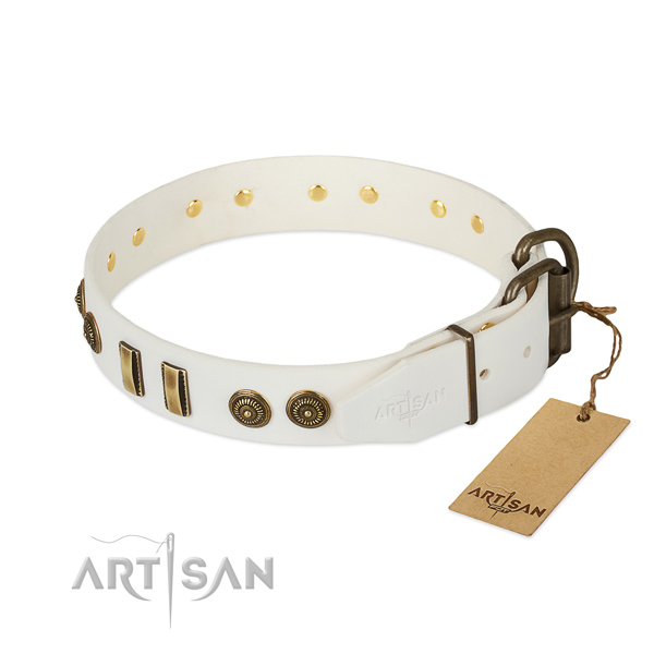 Corrosion resistant traditional buckle on genuine leather dog collar for your doggie