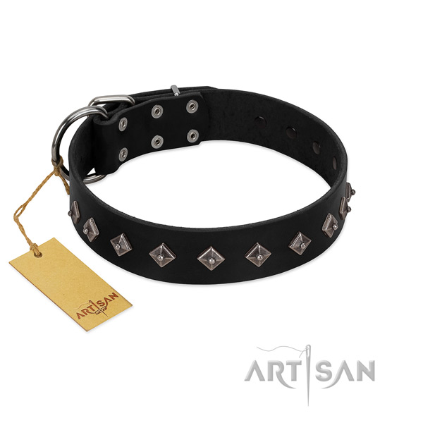 Full grain leather dog collar with impressive studs created dog