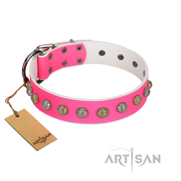 Easy wearing leather dog collar for everyday walking