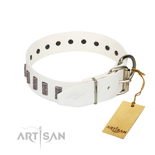 Strong buckle on genuine leather dog collar for stylish walking your pet