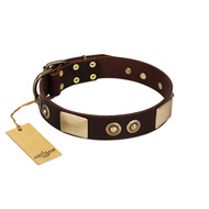"Sense of Freedom" FDT Artisan Brown Leather Pitbull Collar with Old Bronze-Plated Studs and Plates