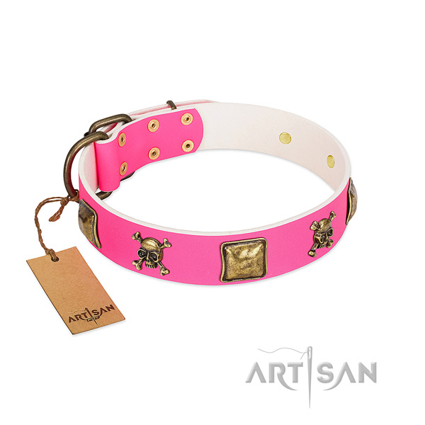 Full grain genuine leather dog collar with exceptional embellishments