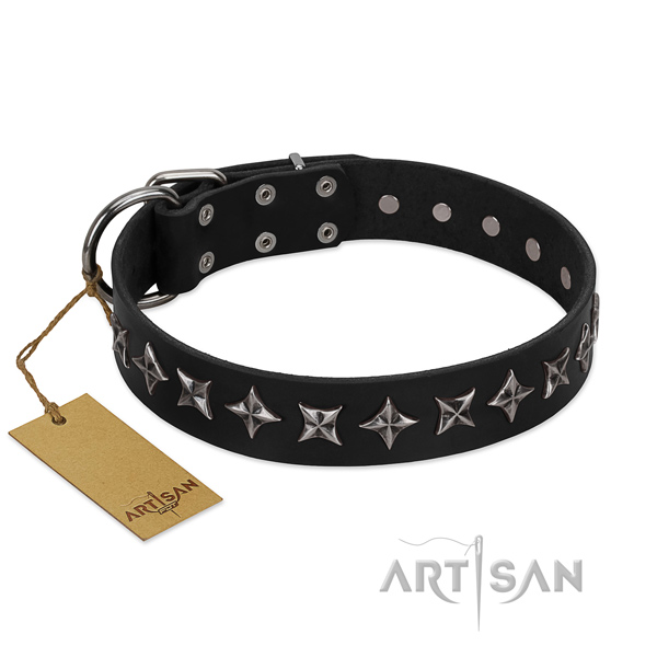 Daily use dog collar of top notch natural leather with studs
