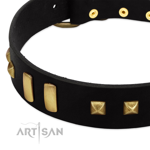 Reliable full grain leather dog collar with adornments for daily walking
