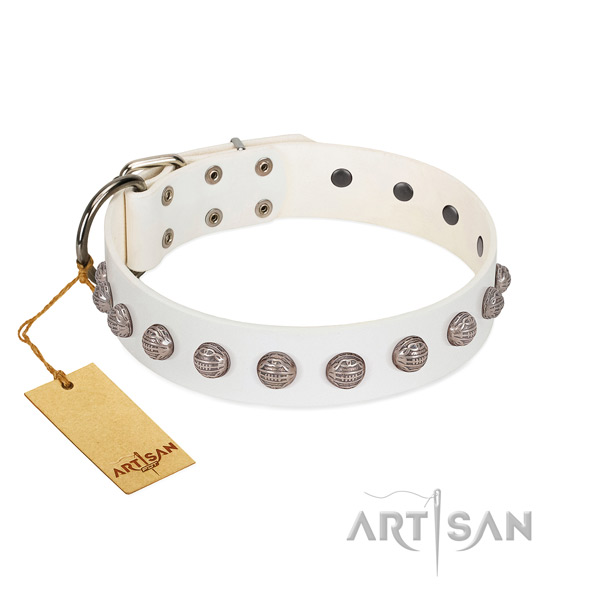 Corrosion resistant D-ring on exceptional genuine leather dog collar