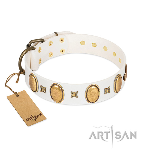 Genuine leather dog collar with unique adornments for daily walking