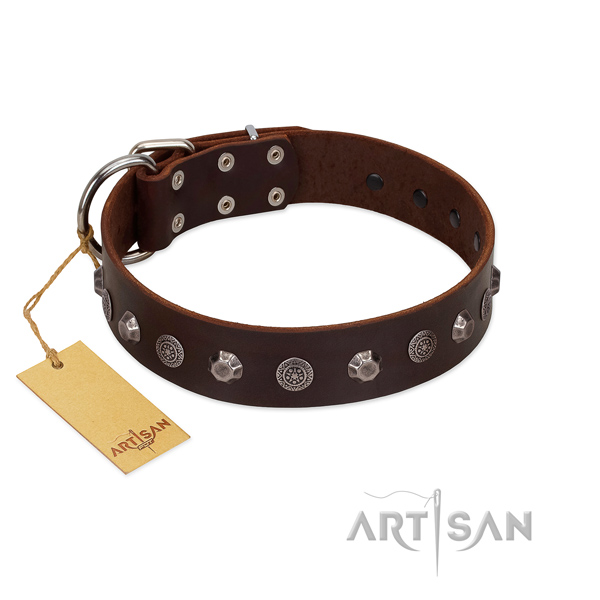 Handcrafted full grain natural leather dog collar
