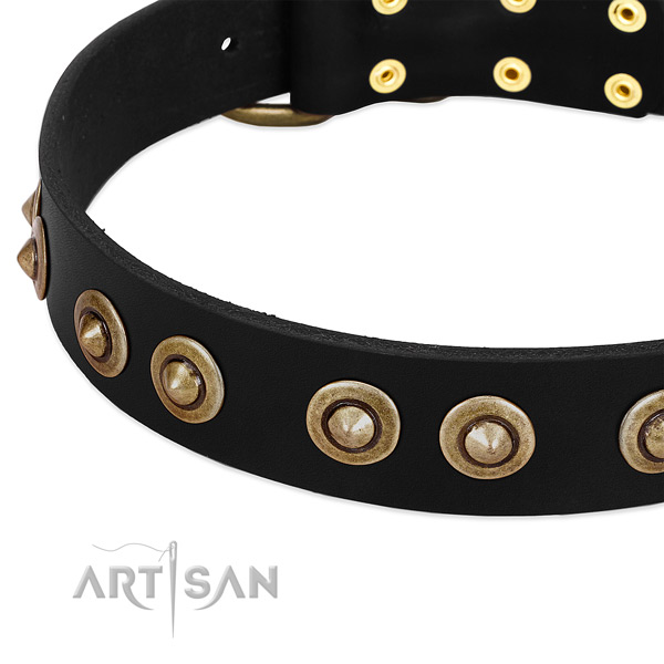 Durable embellishments on genuine leather dog collar for your dog