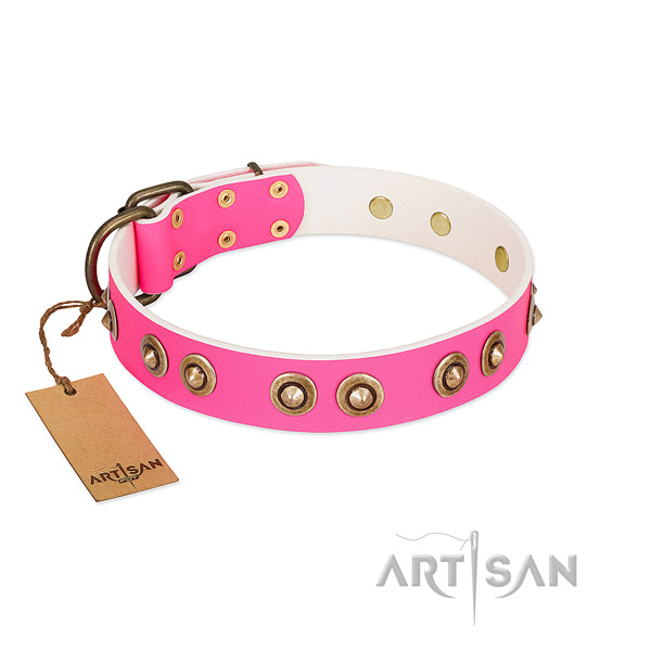 Studded full grain leather dog collar for easy wearing