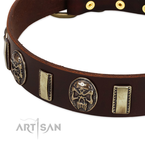Corrosion proof hardware on full grain genuine leather dog collar for your pet