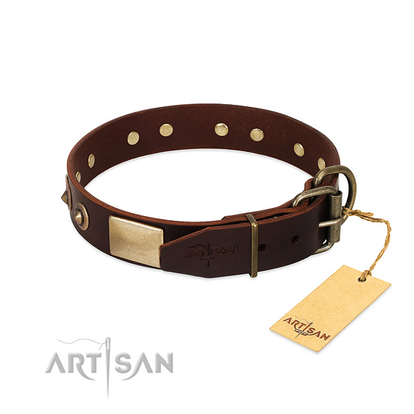 Corrosion resistant D-ring on easy wearing dog collar