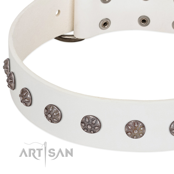 Top notch leather dog collar with adornments for your four-legged friend
