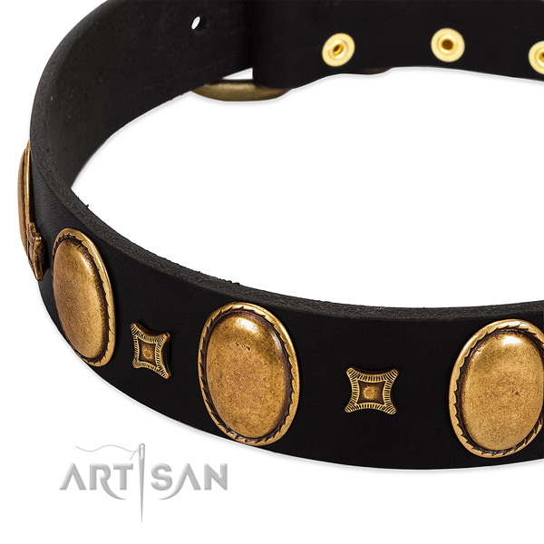 Full grain leather dog collar with adornments for stylish walking
