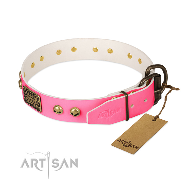 Rust resistant decorations on walking dog collar