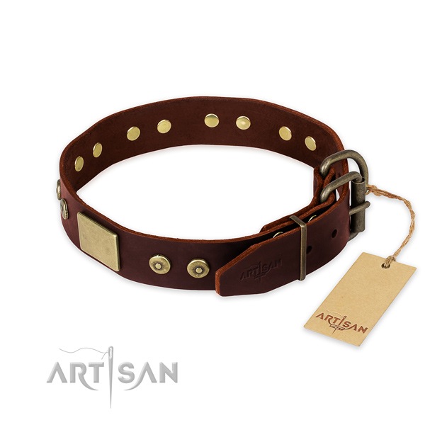 Corrosion proof D-ring on comfy wearing dog collar