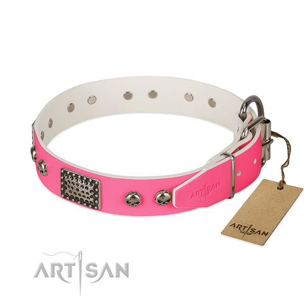 Strong traditional buckle on basic training dog collar