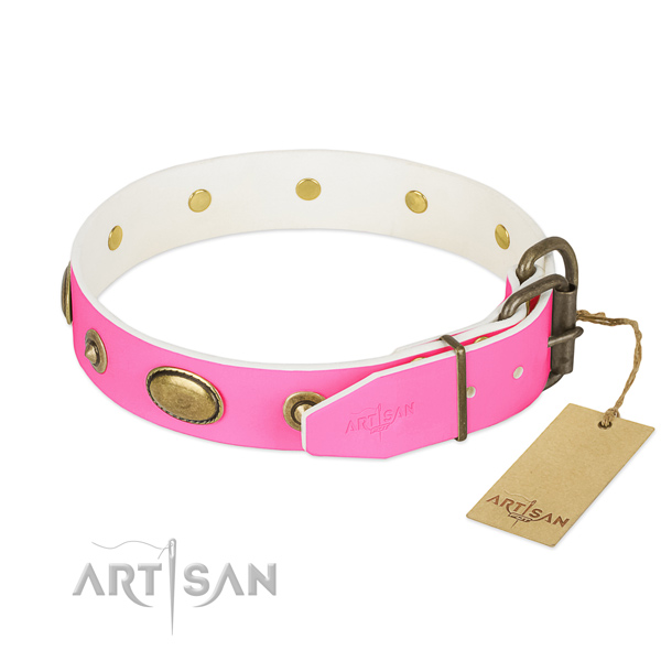 Strong decorations on full grain leather dog collar for your four-legged friend