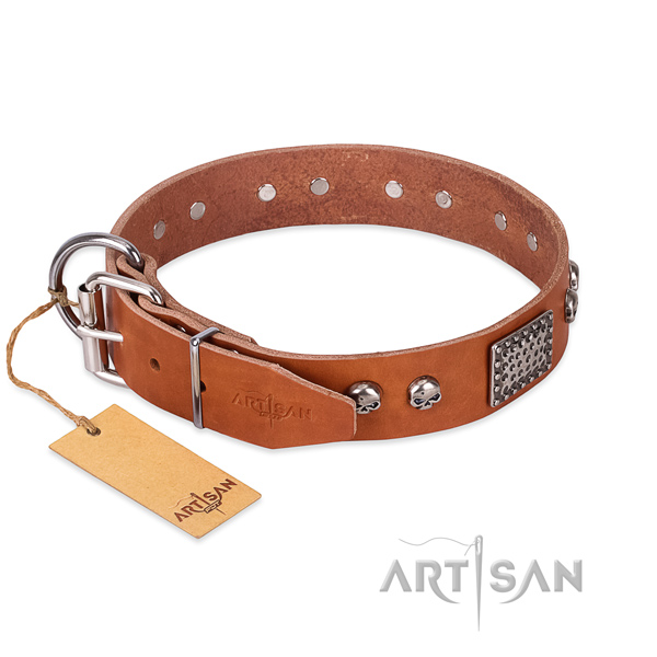 Rust resistant hardware on comfy wearing dog collar