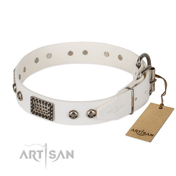 Strong hardware on handy use dog collar