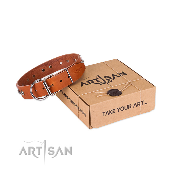 Rust-proof embellishments on dog collar for stylish walking