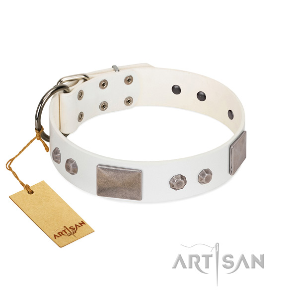 Stunning genuine leather collar for your impressive four-legged friend