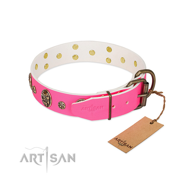 Corrosion proof traditional buckle on full grain natural leather collar for daily walking your doggie