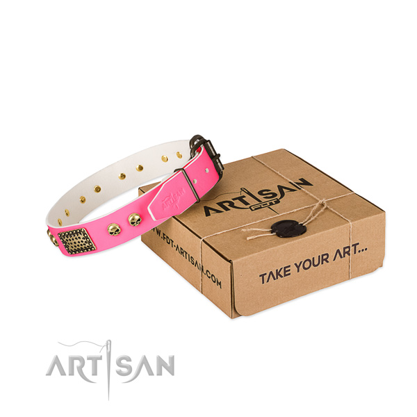 Corrosion resistant fittings on dog collar for comfy wearing