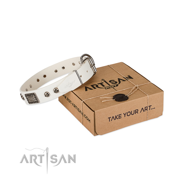 Rust-proof traditional buckle on dog collar for daily use