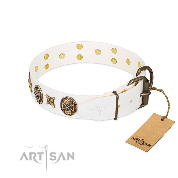 Corrosion resistant traditional buckle on leather collar for daily walking your doggie