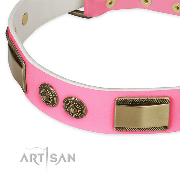 Leather dog collar with studs for daily walking