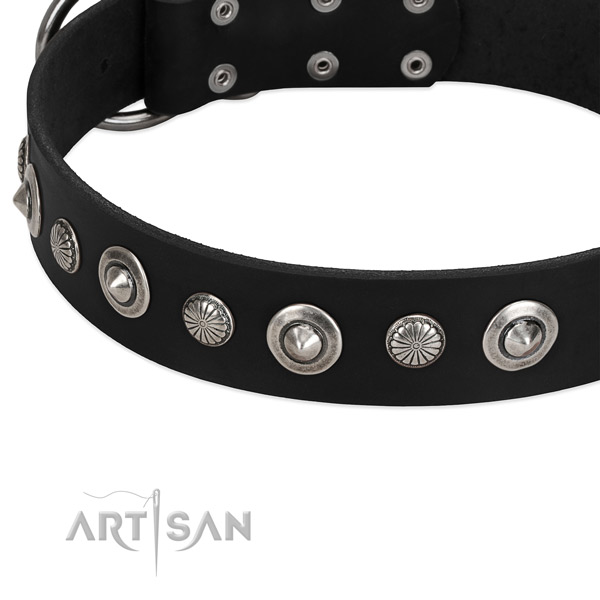 Everyday use decorated dog collar of reliable leather