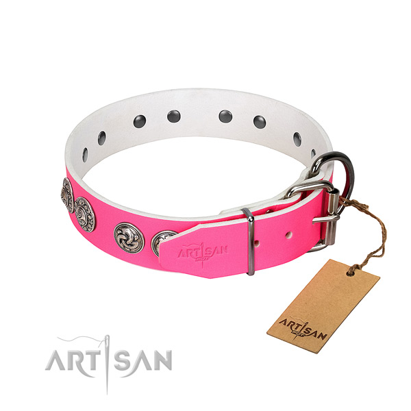 Incredible leather collar for your dog walking