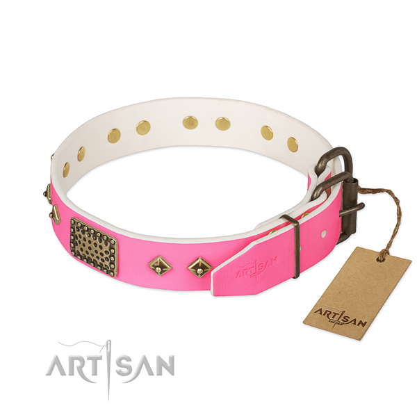 Corrosion proof studs on daily use dog collar