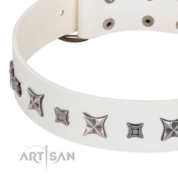Inimitable full grain leather collar for your lovely four-legged friend