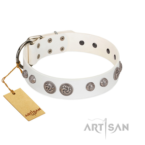 Rust-proof embellishments on full grain genuine leather dog collar for your pet