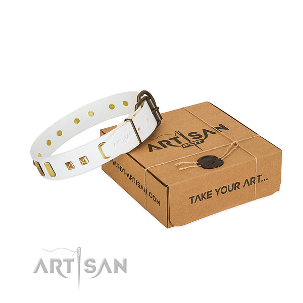 High quality full grain leather dog collar with decorations for stylish walking