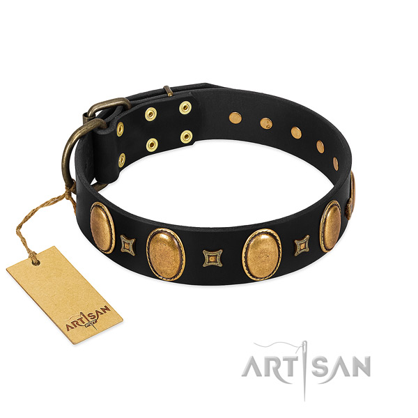 Genuine leather dog collar with unique adornments for handy use