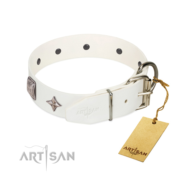 Top rate full grain genuine leather dog collar with stunning decorations
