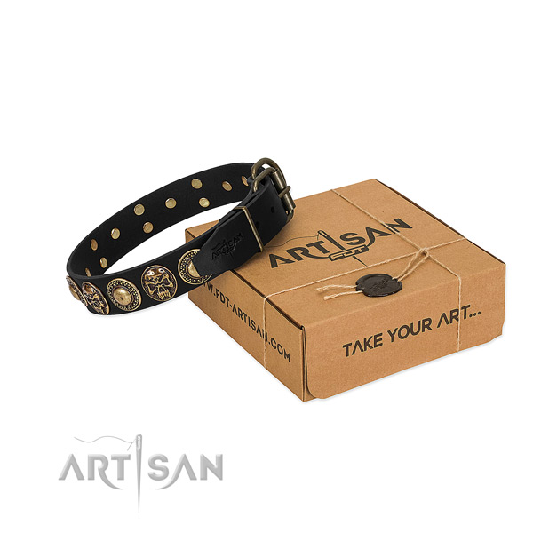 Reliable fittings on dog collar for everyday use