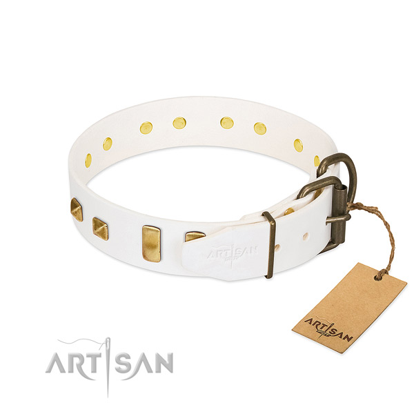Best quality genuine leather dog collar with reliable D-ring