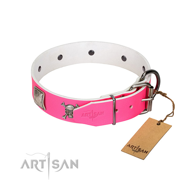 Exquisite natural leather dog collar with durable studs