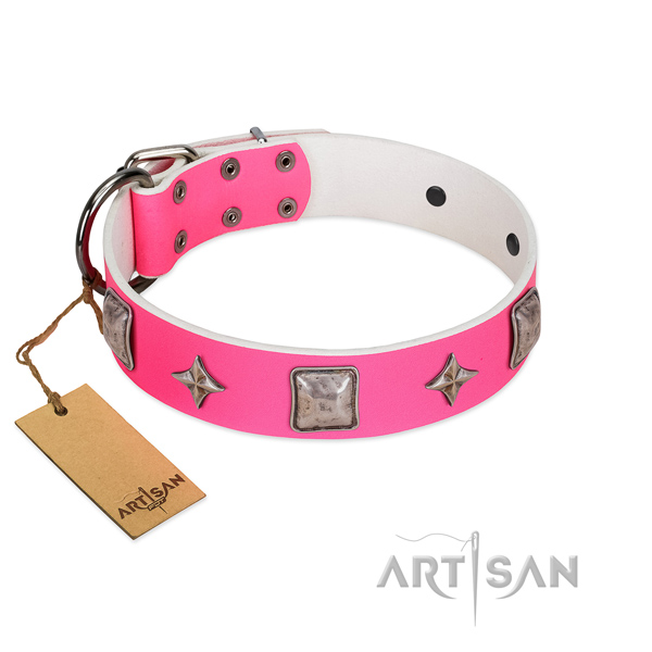 Best quality full grain leather dog collar with decorations for everyday use