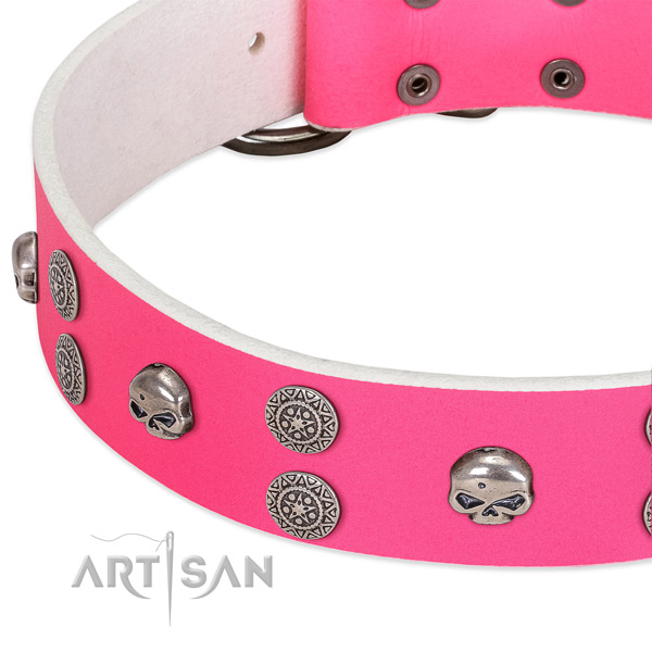 Soft to touch natural leather dog collar with awesome adornments