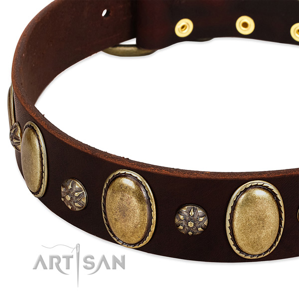Daily walking soft natural genuine leather dog collar