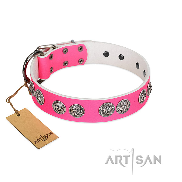 Impressive leather collar for your doggie walking in style